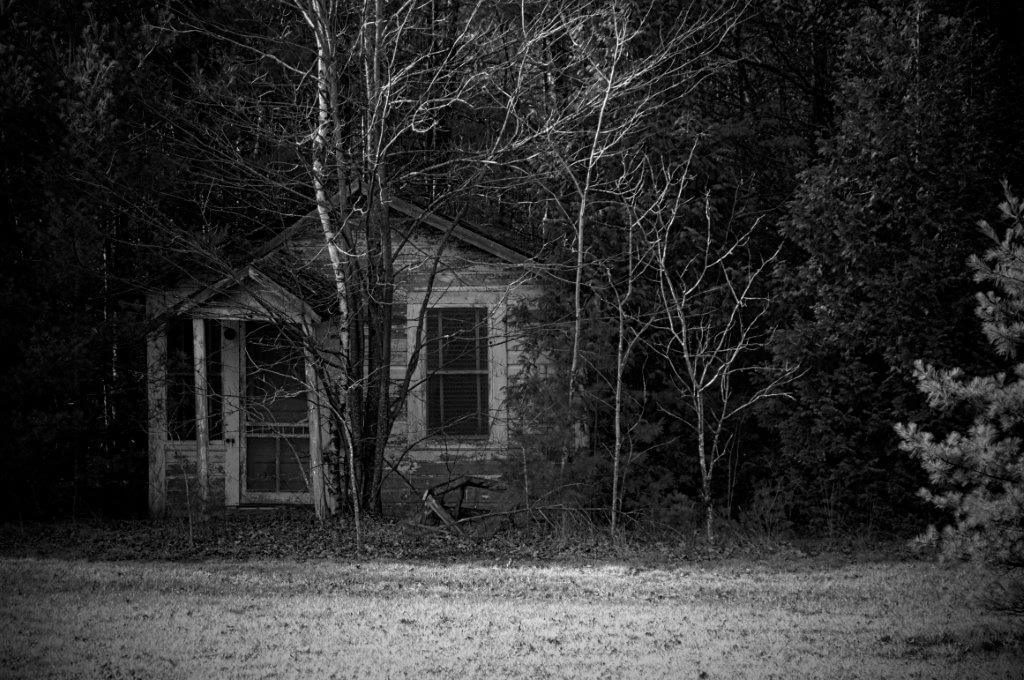 The Log Cabin Escape Room in Atherton Book Escape Room