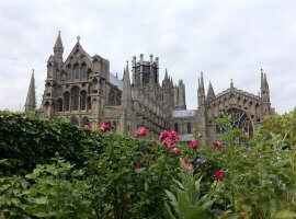 Ely